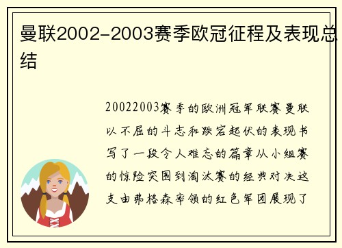 曼联2002-2003赛季欧冠征程及表现总结