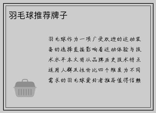 羽毛球推荐牌子
